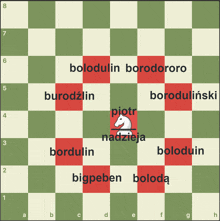 a chess board with the words bolodulin borodoroso written on it