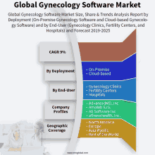 a chart showing the global gynecology software market