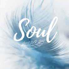 the word soul is on a blue feather