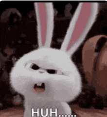 a white rabbit with pink ears is making a funny face and saying `` huh '' .