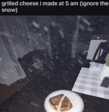 a grilled cheese sandwich sits on a plate in front of a snowy room