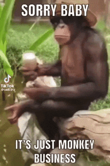 a monkey is sitting on a rock holding a cup and a bottle of beer .