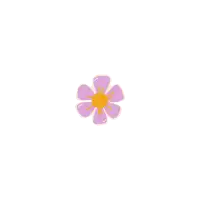 a purple flower with a yellow center and petals on a white background .