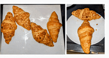 four croissants on a white plate and one croissant on a white plate on a counter