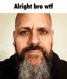 a bald man with a beard and mustache has the words alright bro wtf above his face