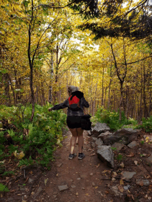 a woman walking down a path in the woods with yellow leaves