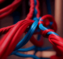 red and blue wires are twisted together in a knot