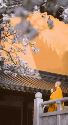 a man in a yellow robe stands on a balcony looking up at a tree