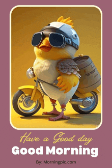 a cartoon chicken wearing a helmet and goggles rides a motorcycle