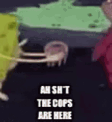 a cartoon of spongebob and patrick standing next to each other with the words `` ah sh t the cops are here ''