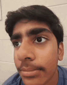 a close up of a young man 's face with a mustache and a blue shirt .