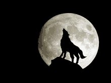 a wolf howling at the full moon in the night sky