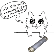 a drawing of a cat with a speech bubble that says i is this ok ?