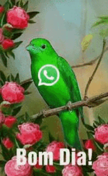 a green bird is perched on a branch of a tree with flowers .