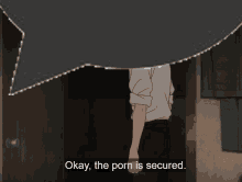 a man standing in a closet with the words " okay the porn is secured " below him