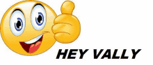 a cartoon smiley face is giving a thumbs up and saying `` hey valley '' .