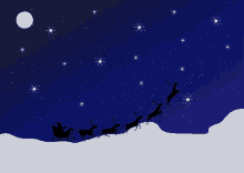 a sleigh pulled by reindeer is flying through a night sky