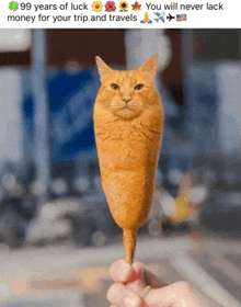 a person is holding a cat on a stick that says 99 years of luck