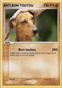 a pokemon card that says anti bon toutou on the top