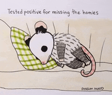 a cartoon of an opossum laying on a pillow with the words " tested positive for missing the homies "