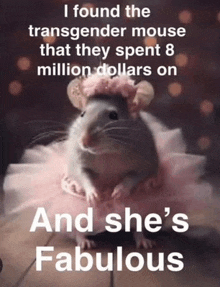 a picture of a mouse in a tutu with the caption i found the transgender mouse