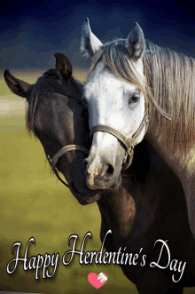 a picture of two horses with the words happy herdentine 's day below them