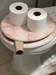 two rolls of toilet paper on top of a toilet