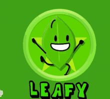 a green leaf with a star in the background and the name leafy below it