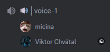 a screenshot of a discord chat with the name viktor chvatal