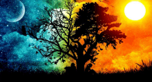 a tree silhouetted against a colorful sky with the sun shining through the clouds