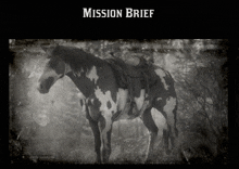 a black and white photo of a horse with the words mission brief on the bottom