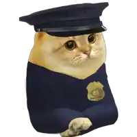 a cat with a police badge on its chest