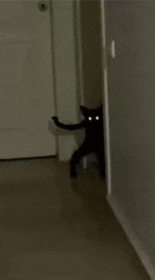 a black cat with bright eyes is peeking out from behind a door .