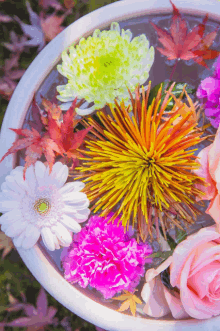 a bowl of flowers and leaves in water