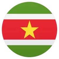 a red white and green flag with a yellow star in the center