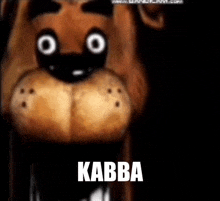 a close up of a stuffed animal with a black background and the words kabba on it .