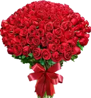 a large bouquet of red roses with a red ribbon