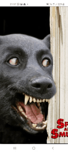 a picture of a black dog with its mouth open and a sign that says $ at the bottom