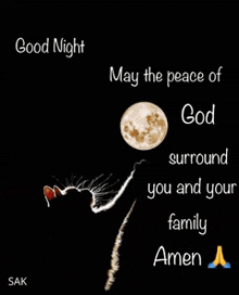 a black cat is praying in front of a full moon with the words `` may the peace of god surround you and your family amen ''