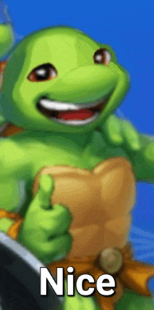 a green turtle is giving a thumbs up and the words nice are below it