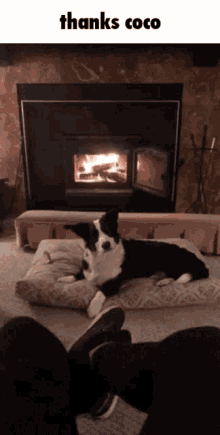 a dog laying on a pillow in front of a fireplace with the words " thanks coco " above it