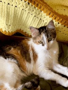 a calico cat laying on a blanket next to a yellow and brown crocheted blanket