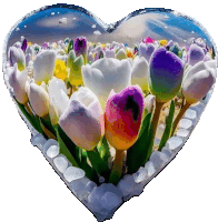 a heart shaped container filled with colorful flowers