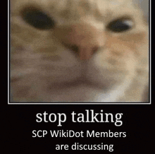 a close up of a cat 's face with the words `` stop talking scp wikidot members are discussing '' on it .