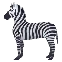 a black and white striped zebra standing on a white background