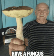 a man in a striped shirt is holding a large mushroom with a caption that says have a fungus