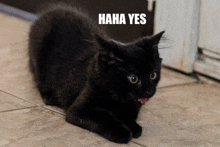 a black cat laying on a tiled floor with the words haha yes written above it