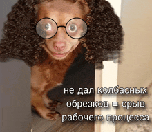 a picture of a dog wearing glasses and curly hair with a caption in russian