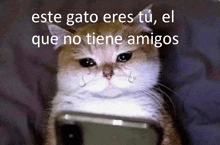 a cat is crying while looking at a cell phone with the words " este gato eres tu el que no tiene amigos " above it