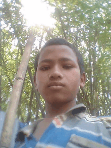 a young boy in a blue and white striped shirt is standing in the woods